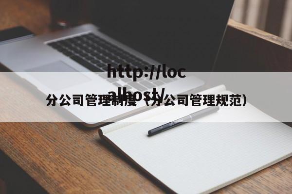 分公司管理制度（分公司管理规范）